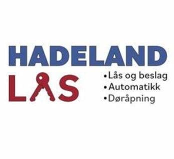 Sponsor logo #9